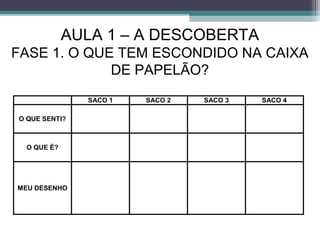 SACO 1 SACO 2 SACO 3 SACO 4
O QUE SENTI?
O QUE É?
MEU DESENHO
AULA 1 – A DESCOBERTA
FASE 1. O QUE TEM ESCONDIDO NA CAIXA
DE PAPELÃO?
 
