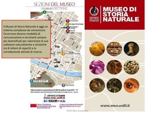 Il Museo di Storia Naturale è oggi un
sistema complesso da comunicare.
Occorrono diverse modalità di
comunicazione e strumenti sempre
più diversificati per valorizzare le sue
collezioni naturalistiche e artistiche
(ca 8 milioni di reperti) e la
considerevole attività di ricerca.

MSN Alba Scarpellini

 