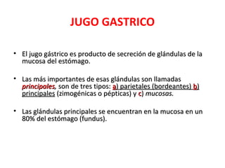 JUGO GASTRICO

• El jugo gástrico es producto de secreción de glándulas de la
  mucosa del estómago.

• Las más importantes de esas glándulas son llamadas
  principales, son de tres tipos: a) parietales (bordeantes) b)
  principales (zimogénicas o pépticas) y c) mucosas.

• Las glándulas principales se encuentran en la mucosa en un
  80% del estómago (fundus).
 
