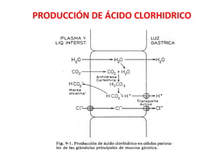 PRODUCCIÓN DE ÁCIDO CLORHIDRICO
 