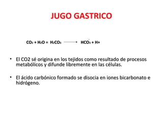 JUGO GASTRICO

       CO2 + H2O = H2CO3       HCO3 + H+


• El CO2 sé origina en los tejidos como resultado de procesos
  metabólicos y difunde libremente en las células.

• El ácido carbónico formado se disocia en iones bicarbonato e
  hidrógeno.
 