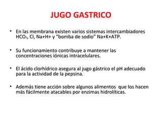 JUGO GASTRICO
• En las membrana existen varios sistemas intercambiadores
  HCO3, Cl, Na+H+ y “bomba de sodio” Na+K+ATP.

• Su funcionamiento contribuye a mantener las
  concentraciones iónicas intracelulares.

• El ácido clorhídrico asegura al jugo gástrico el pH adecuado
  para la actividad de la pepsina.

• Además tiene acción sobre algunos alimentos que los hacen
  más fácilmente atacables por enzimas hidrolíticas.
 