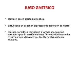 JUGO GASTRICO

• También posee acción antiséptica.

• El HCl tiene un papel en el proceso de absorción de hierro.

• El ácido clorhídrico contribuye a formar una solución
  verdadera por dispersión de iones férricos y fácilmente los
  reducen a iones ferrosos que facilita su absorción en
  intestino.
 