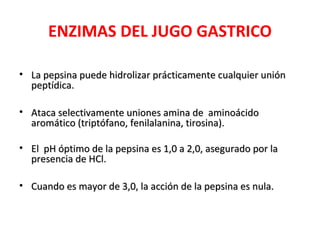 ENZIMAS DEL JUGO GASTRICO

• La pepsina puede hidrolizar prácticamente cualquier unión
  peptídica.

• Ataca selectivamente uniones amina de aminoácido
  aromático (triptófano, fenilalanina, tirosina).

• El pH óptimo de la pepsina es 1,0 a 2,0, asegurado por la
  presencia de HCl.

• Cuando es mayor de 3,0, la acción de la pepsina es nula.
 