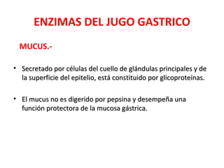 ENZIMAS DEL JUGO GASTRICO
  MUCUS.-

• Secretado por células del cuello de glándulas principales y de
  la superficie del epitelio, está constituido por glicoproteínas.

• El mucus no es digerido por pepsina y desempeña una
  función protectora de la mucosa gástrica.
 