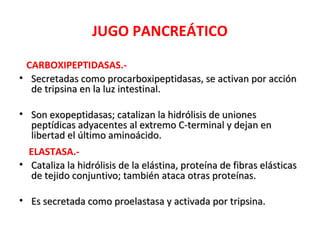 JUGO PANCREÁTICO

 CARBOXIPEPTIDASAS.-
• Secretadas como procarboxipeptidasas, se activan por acción
  de tripsina en la luz intestinal.

• Son exopeptidasas; catalizan la hidrólisis de uniones
  peptídicas adyacentes al extremo C-terminal y dejan en
  libertad el último aminoácido.
  ELASTASA.-
• Cataliza la hidrólisis de la elástina, proteína de fibras elásticas
  de tejido conjuntivo; también ataca otras proteínas.

• Es secretada como proelastasa y activada por tripsina.
 