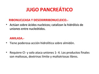 JUGO PANCREÁTICO
  RIBONUCLEASA Y DESOXIRRIBONUCLEICO.-
• Actúan sobre ácidos nucleicos; catalizan la hidrólisis de
  uniones entre nucleótidos.

  AMILASA.-
• Tiene poderosa acción hidrolítica sobre almidón.

• Requiere Cl- y solo ataca uniones 1- 4. Los productos finales
  son maltosas, dextrinas límite y maltotriosas libres.
 