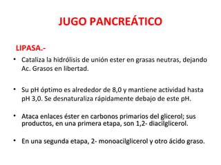 JUGO PANCREÁTICO

LIPASA.-
• Cataliza la hidrólisis de unión ester en grasas neutras, dejando
  Ac. Grasos en libertad.

• Su pH óptimo es alrededor de 8,0 y mantiene actividad hasta
  pH 3,0. Se desnaturaliza rápidamente debajo de este pH.

• Ataca enlaces éster en carbonos primarios del glicerol; sus
  productos, en una primera etapa, son 1,2- diacilglicerol.

• En una segunda etapa, 2- monoacilglicerol y otro ácido graso.
 