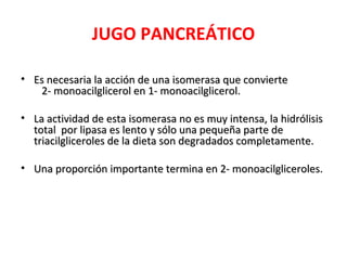 JUGO PANCREÁTICO

• Es necesaria la acción de una isomerasa que convierte
   2- monoacilglicerol en 1- monoacilglicerol.

• La actividad de esta isomerasa no es muy intensa, la hidrólisis
  total por lipasa es lento y sólo una pequeña parte de
  triacilgliceroles de la dieta son degradados completamente.

• Una proporción importante termina en 2- monoacilgliceroles.
 