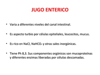 JUGO ENTERICO

• Varia a diferentes niveles del canal intestinal.

• Es aspecto turbio por células epiteliales, leucocitos, mucus.

• Es rico en NaCl, NaHCO3 y otras sales inorgánicas.

• Tiene Ph 8,3. Sus componentes orgánicos son mucoproteínas
  y diferentes enzimas liberadas por células descamadas.
 