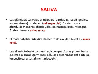 SALIVA
• Las glándulas salivales principales (parótidas, sublinguales,
  submaxilares) producen (saliva parcial). Existen otras
  glándulas menores, distribuidas en mucosa bucal y lengua.
  Ambas forman saliva mixta.

• El material obtenido directamente de cavidad bucal es saliva
  total.

• La saliva total está contaminada con partículas provenientes
  del medio bucal (gérmenes, células descamadas del epitelio,
  leucocitos, restos alimentarios, etc.).
 