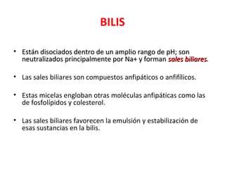 BILIS

• Están disociados dentro de un amplio rango de pH; son
  neutralizados principalmente por Na+ y forman sales biliares.

• Las sales biliares son compuestos anfipáticos o anfifílicos.

• Estas micelas engloban otras moléculas anfipáticas como las
  de fosfolípidos y colesterol.

• Las sales biliares favorecen la emulsión y estabilización de
  esas sustancias en la bilis.
 