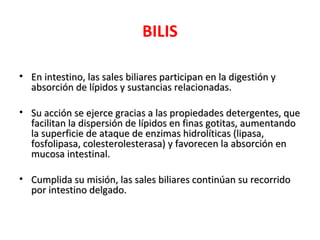 BILIS

• En intestino, las sales biliares participan en la digestión y
  absorción de lípidos y sustancias relacionadas.

• Su acción se ejerce gracias a las propiedades detergentes, que
  facilitan la dispersión de lípidos en finas gotitas, aumentando
  la superficie de ataque de enzimas hidrolíticas (lipasa,
  fosfolipasa, colesterolesterasa) y favorecen la absorción en
  mucosa intestinal.

• Cumplida su misión, las sales biliares continúan su recorrido
  por intestino delgado.
 