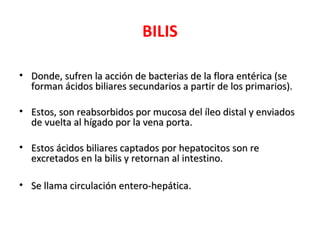 BILIS

• Donde, sufren la acción de bacterias de la flora entérica (se
  forman ácidos biliares secundarios a partir de los primarios).

• Estos, son reabsorbidos por mucosa del íleo distal y enviados
  de vuelta al hígado por la vena porta.

• Estos ácidos biliares captados por hepatocitos son re
  excretados en la bilis y retornan al intestino.

• Se llama circulación entero-hepática.
 
