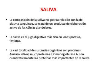SALIVA
• La composición de la saliva no guarda relación con la del
  plasma sanguíneo, se trata de un producto de elaboración
  activa de las células glandulares.

• La saliva es el jugo digestivo más rico en iones potasio,
  fosfatos.

• La casi totalidad de sustancias orgánicas son proteínas.
  Amilasa salival, mucoproteínas e inmunoglobulina A son
  cuantitativamente las proteínas más importantes de la saliva.
 