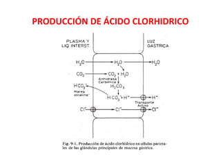 PRODUCCIÓN DE ÁCIDO CLORHIDRICO
 