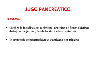 JUGO PANCREÁTICO
ELASTASA.-
• Cataliza la hidrólisis de la elastina, proteína de fibras elásticasCataliza la hidrólisis de la elastina, proteína de fibras elásticas
de tejido conjuntivo; también ataca otras proteínas.de tejido conjuntivo; también ataca otras proteínas.
• Es secretada como proelastasa y activada por tripsina.Es secretada como proelastasa y activada por tripsina.
 
