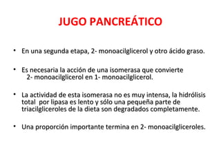 JUGO PANCREÁTICO
• En una segunda etapa, 2- monoacilglicerol y otro ácido graso.En una segunda etapa, 2- monoacilglicerol y otro ácido graso.
• Es necesaria la acción de una isomerasa que convierteEs necesaria la acción de una isomerasa que convierte
2- monoacilglicerol en 1- monoacilglicerol.2- monoacilglicerol en 1- monoacilglicerol.
• La actividad de esta isomerasa no es muy intensa, la hidrólisisLa actividad de esta isomerasa no es muy intensa, la hidrólisis
total por lipasa es lento y sólo una pequeña parte detotal por lipasa es lento y sólo una pequeña parte de
triacilgliceroles de la dieta son degradados completamente.triacilgliceroles de la dieta son degradados completamente.
• Una proporción importante termina en 2- monoacilgliceroles.Una proporción importante termina en 2- monoacilgliceroles.
 