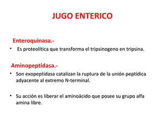JUGO ENTERICO
Enteroquinasa.-
• Es proteolítica que transforma el tripsinogeno en tripsina.Es proteolítica que transforma el tripsinogeno en tripsina.
Aminopeptidasa.-
• Son exopeptidasa catalizan la ruptura de la unión peptídicaSon exopeptidasa catalizan la ruptura de la unión peptídica
adyacente al extremo N-terminal.adyacente al extremo N-terminal.
• Su acción es liberar el aminoácido que posee su grupo alfaSu acción es liberar el aminoácido que posee su grupo alfa
amina libre.amina libre.
 