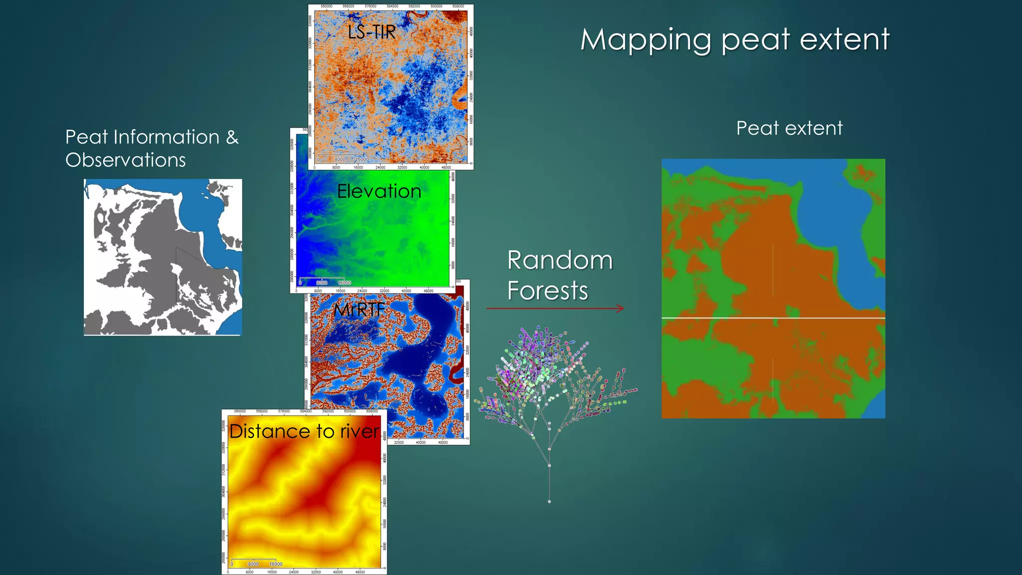 LS-TIR
Elevation
MrRTF
Distance to river
Random
Forests
Peat extentPeat Information &
Observations
Mapping peat extent
 