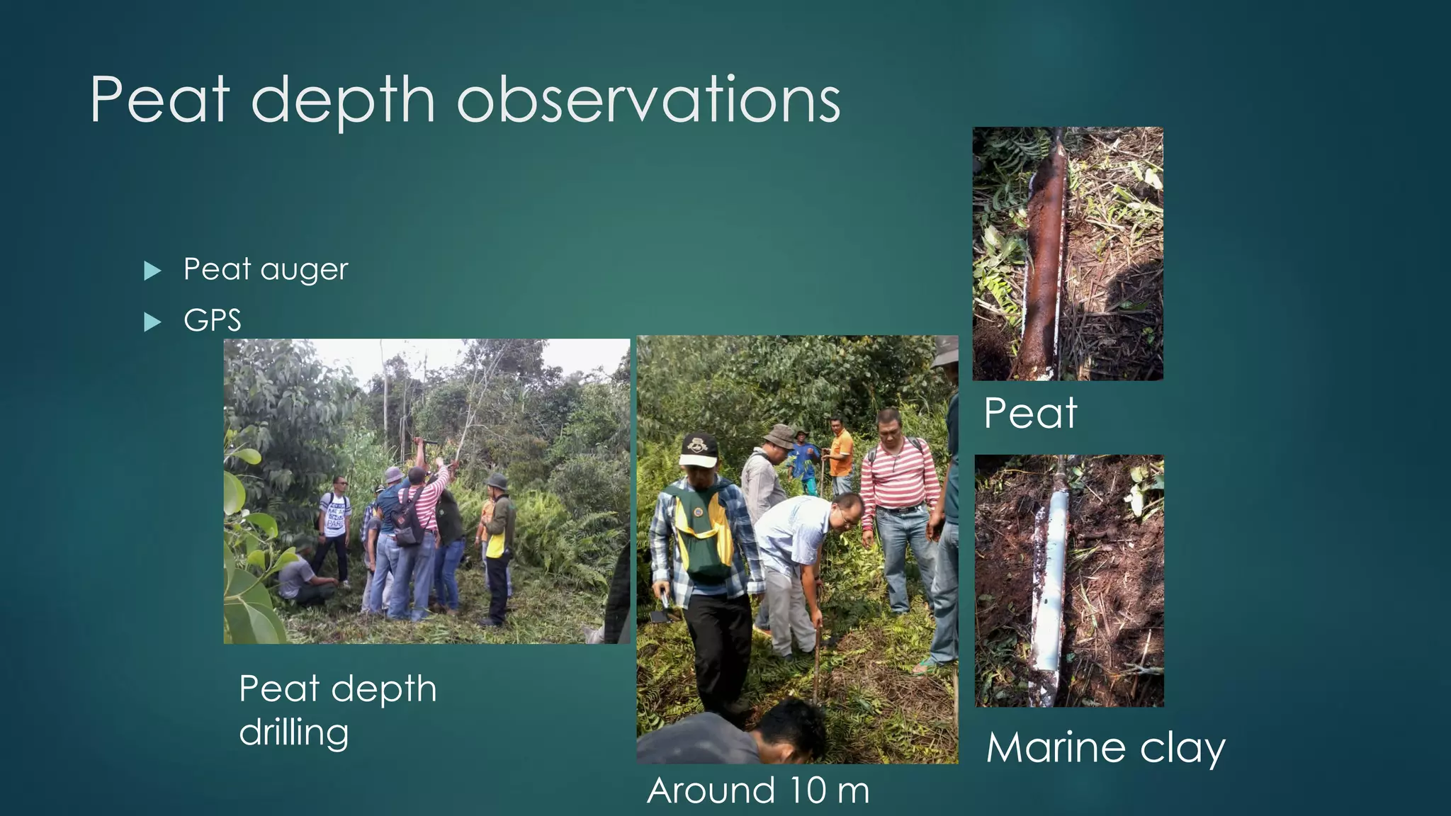 Peat depth observations
 Peat auger
 GPS
Peat
Marine clay
Around 10 m
Peat depth
drilling
 