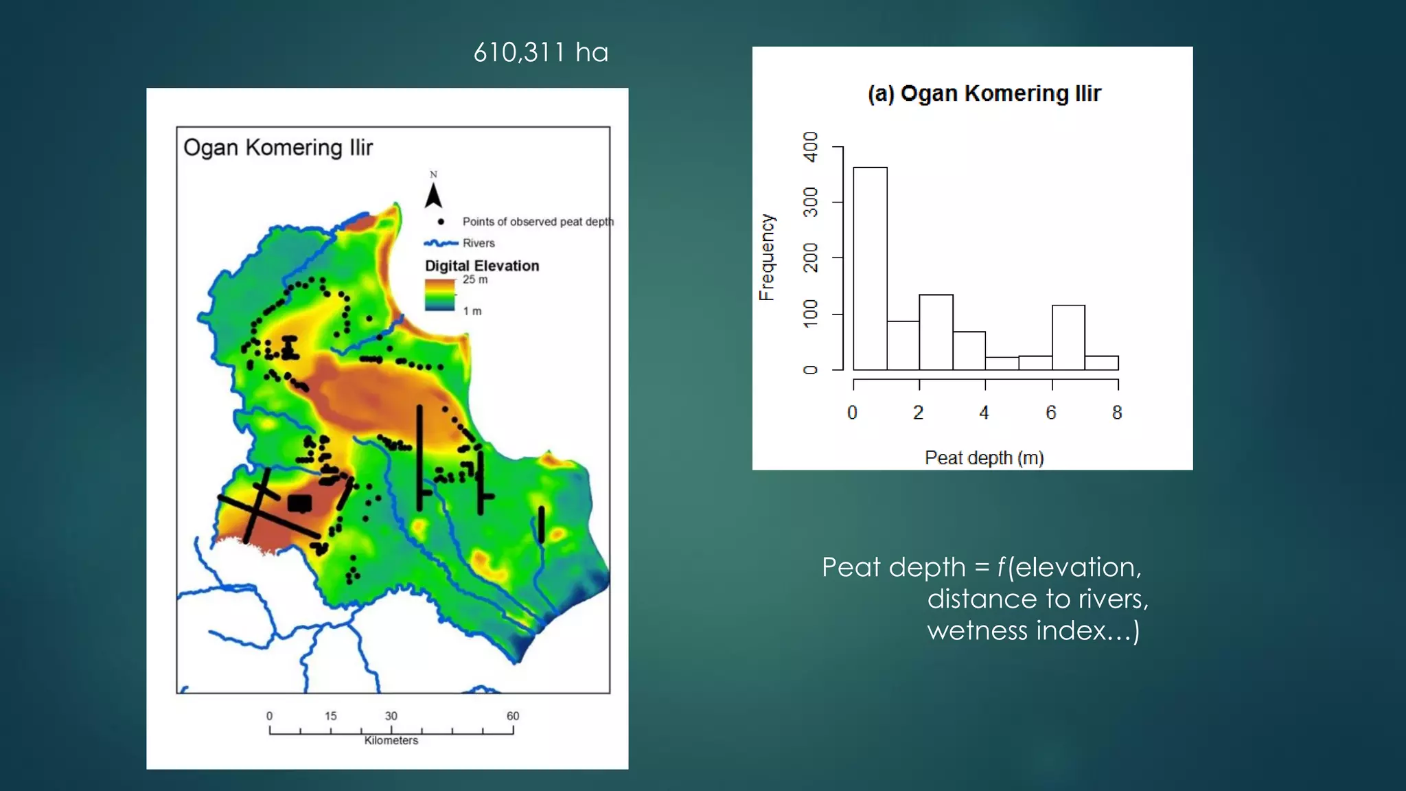 Peat depth = f(elevation,
distance to rivers,
wetness index…)
610,311 ha
 