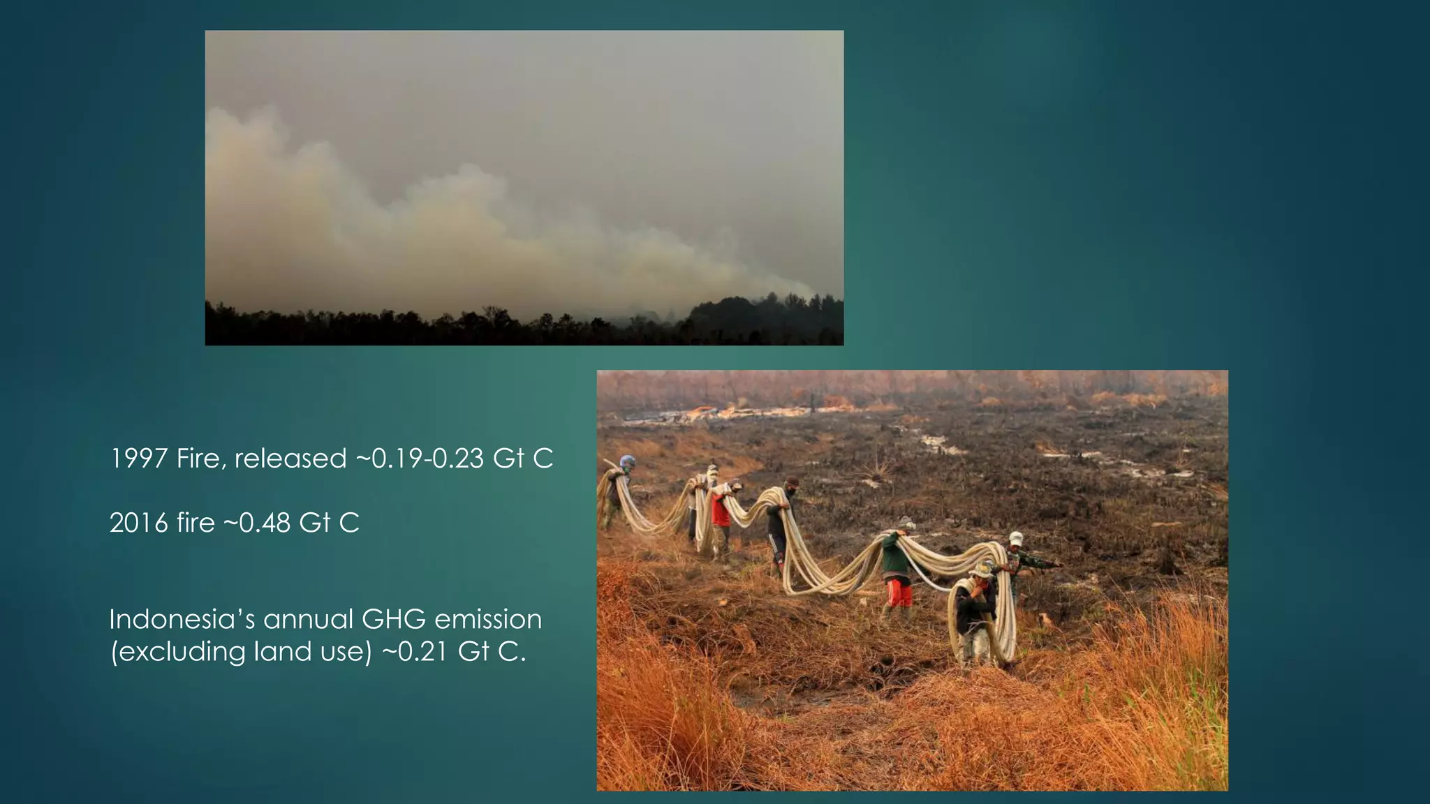 1997 Fire, released ~0.19-0.23 Gt C
2016 fire ~0.48 Gt C
Indonesia’s annual GHG emission
(excluding land use) ~0.21 Gt C.
 