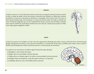 26
Guía-Cuaderno 4: Atención educativa de alumnos y alumnas con discapacidad motriz
Atetosis
La lesión se ubica en un tracto del sistema nervioso central que se encarga de mantener la postura estática
(es decir, el estado de reposo) y de los movimientos involuntarios (por ejemplo, los reflejos para mantener
el equilibrio y la postura, los movimientos respiratorios o el parpadeo, entre muchos otros). Este tracto se
llama sistema extrapiramidal, está formado por un conjunto de núcleos y fibras neuronales, y la lesión oca-
siona movimientos exagerados que van de la hiperextensión (brazos o piernas muy estirados) a la flexión
total o parcial; también hay movimientos involuntarios en los músculos, necesarios para producir el habla,
lo que origina gestos exagerados al hablar.
Ataxia
La lesión se encuentra en el cerebelo. Los niños o las niñas experimentan dificultades para medir su fuerza y dirección de los movimientos (por
ejemplo, alteraciones en la postura, en las reacciones de equilibrio, sin coordinación de los brazos y problemas para chupar, comer y respirar).
También hay dificultades para realizar movimientos precisos y nuevos patrones de movimiento.
Los cambios en los movimientos se clasifican según las áreas del cuerpo afectadas:
a) Monoplejia: un solo miembro del cuerpo.
b) Diplejia: afecta las extremidades inferiores (piernas).
c) Triplejia: afecta un miembro superior (un brazo) y las extremidades inferiores (piernas).
d) Hemiplejia: afecta la totalidad de un lado del cuerpo (el derecho o el izquierdo).
e) Cuadriplejia: afecta las cuatro extremidades (brazos y piernas).
D I
Cerebellum
 
