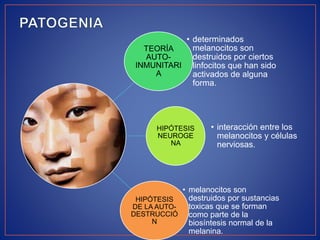 TEORÍA
AUTO-
INMUNITARI
A
• determinados
melanocitos son
destruidos por ciertos
linfocitos que han sido
activados de alguna
forma.
HIPÓTESIS
NEUROGE
NA
• interacción entre los
melanocitos y células
nerviosas.
HIPÓTESIS
DE LA AUTO-
DESTRUCCIÓ
N
• melanocitos son
destruidos por sustancias
toxicas que se forman
como parte de la
biosíntesis normal de la
melanina.
 