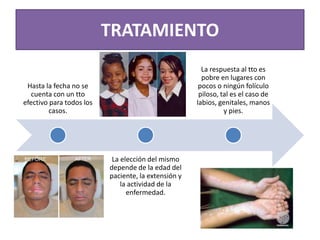 TRATAMIENTO
Hasta la fecha no se
cuenta con un tto
efectivo para todos los
casos.
La elección del mismo
depende de la edad del
paciente, la extensión y
la actividad de la
enfermedad.
La respuesta al tto es
pobre en lugares con
pocos o ningún folículo
piloso, tal es el caso de
labios, genitales, manos
y pies.
 