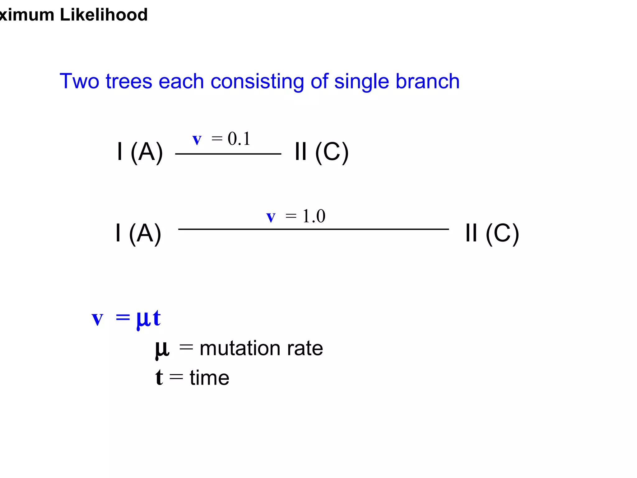 I (A) II (C)
I (A) II (C)
v = 0.1
v = 1.0
v = µt
µ = mutation rate
t = time
ximum Likelihood
Two trees each consisting of single branch
 