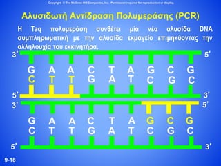 9-18
Copyright © The McGraw-Hill Companies, Inc. Permission required for reproduction or display.
Αλυσιδωτή Αντίδραση Πολυμεράσης (PCR)
Η Taq πολυμεράση συνθέτει μία νέα αλυσίδα DNA
συμπληρωματική με την αλυσίδα εκμαγείο επιμηκύοντας την
αλληλουχία του εκκινητήρα.
C T T G A T CGC
3’5’
G ATCAA GCG
3’ 5’
C T T
GCG
5’
5’
3’
C G CG A T
G A A C T A
3’
 