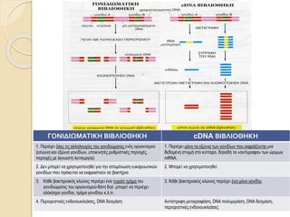 ΓΟΝΙΔΙΩΜΑΤΙΚΗ ΒΙΒΛΙΟΘΗΚΗ cDNA ΒΙΒΛΙΟΘΗΚΗ
1. Περιέχει όλες τις αλληλουχίες του γονιδιώματος ενός οργανισμού
(εσώνια και εξώνια γονιδίων, υποκινητές ρυθμιστικές περιοχές,
περιοχές με άγνωστη λειτουργία)
1. Περιέχει μόνο τα εξώνια των γονιδίων που εκφράζονται μια
δεδομένη στιγμή στο κύτταρο, δηλαδή τα «αντίγραφα» των ώριμων
mRNA.
2. Δεν μπορεί να χρησιμοποιηθεί για την απομόνωση ευκαρυωτικών
γονιδίων που πρόκειται να εκφραστούν σε βακτήρια
2. Μπορεί να χρησιμοποιηθεί.
3. Κάθε βακτηριακός κλώνος περιέχει ένα τυχαίο τμήμα του
γονιδιώματος του οργανισμού-δότη δηλ. μπορεί να περιέχει
ολόκληρο γονίδιο, τμήμα γονιδίου κ.λ.π.
3. Κάθε βακτηριακός κλώνος περιέχει ένα μόνο γονίδιο.
4. Περιοριστικές ενδονουκλεάσες, DNA δεσμάση Αντίστροφη μεταγραφάση, DNA πολυμεράση, DNA δεσμάση,
περιοριστικές ενδονουκλεάσες
 