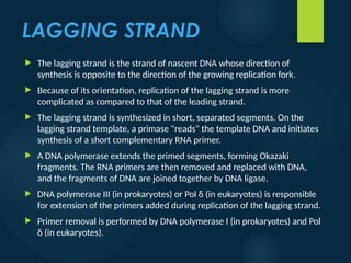 4 DNA REPLICATION.pptx Dna replication is | PPTX