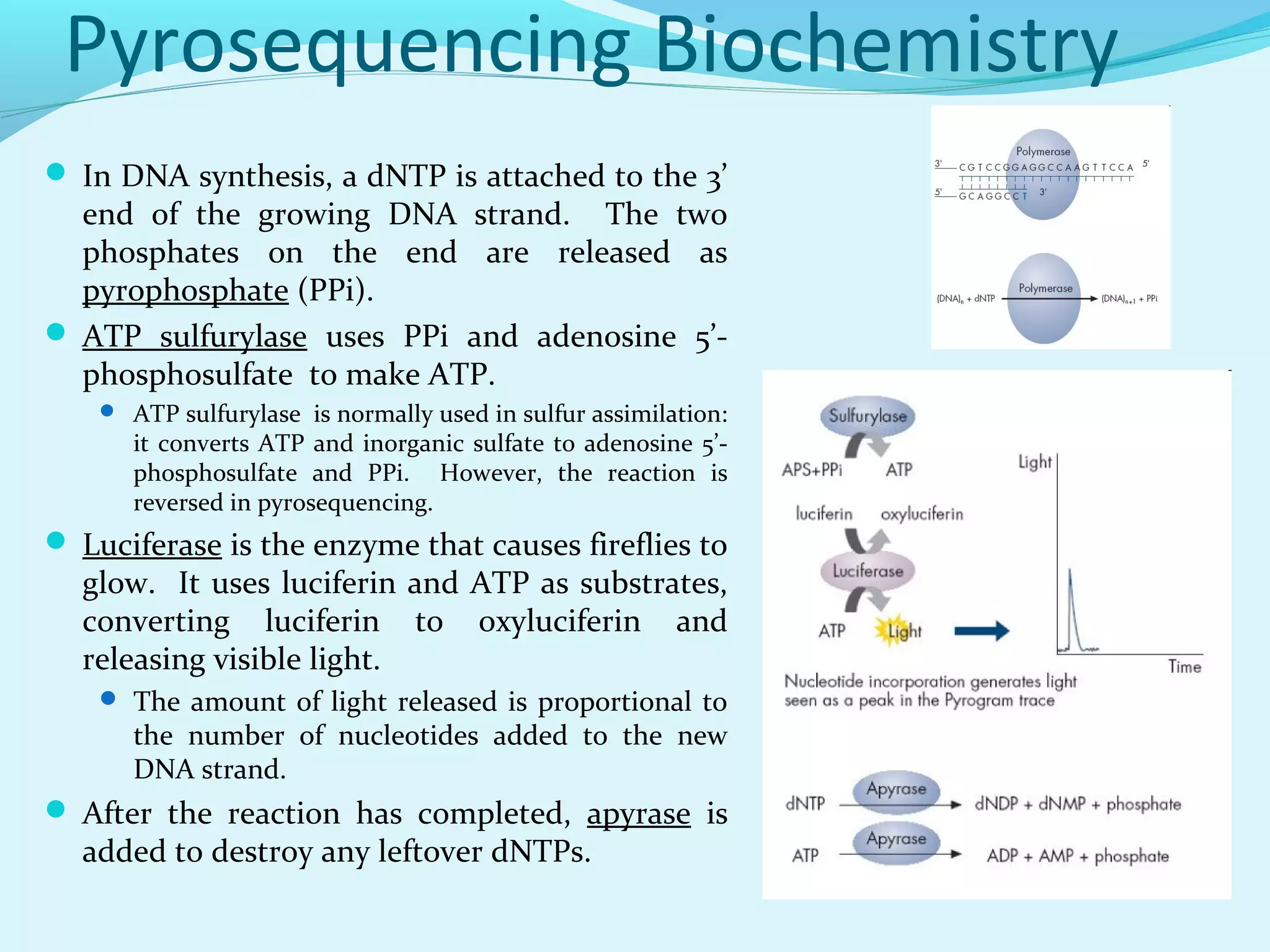 dna sequencing methods | PPT