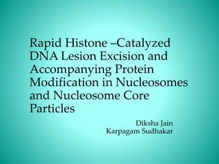 Rapid Histone –Catalyzed
DNA Lesion Excision and
Accompanying Protein
Modification in Nucleosomes
and Nucleosome Core
Particles
Diksha Jain
Karpagam Sudhakar
 
