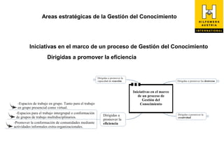 Areas estratégicas de la Gestión del Conocimiento




Iniciativas en el marco de un proceso de Gestión del Conocimiento
      Dirigidas a promover la eficiencia
 