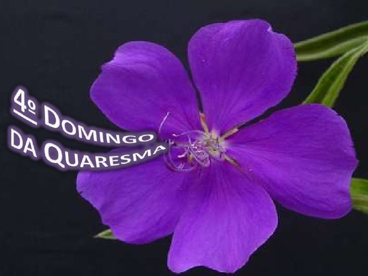 Resultado de imagem para quarto domingo da quaresma