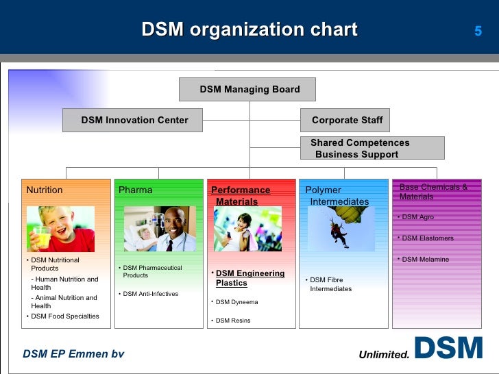 4 dsm ger de boer dsm chart
