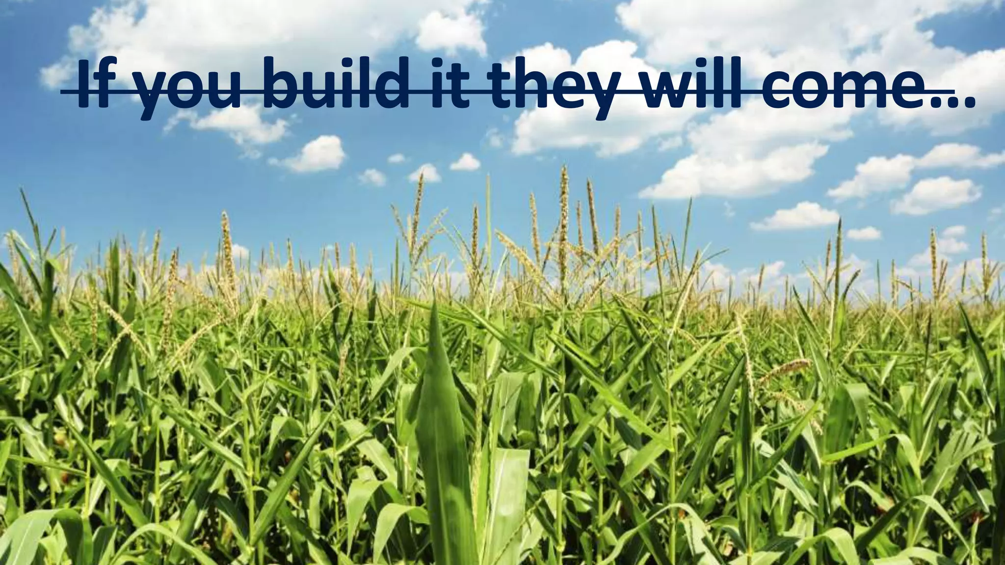 If you build it they will come…