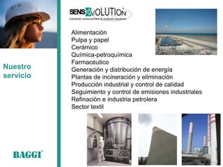 Alimentación 
Pulpa y papel 
Cerámico 
Química-petroquímica 
Farmacéutico 
Generación y distribución de energía 
Plantas de incineración y eliminación 
Producción industrial y control de calidad 
Seguimiento y control de emisiones industriales 
Refinación e industria petrolera 
Sector textil 
Nuestro servicio  