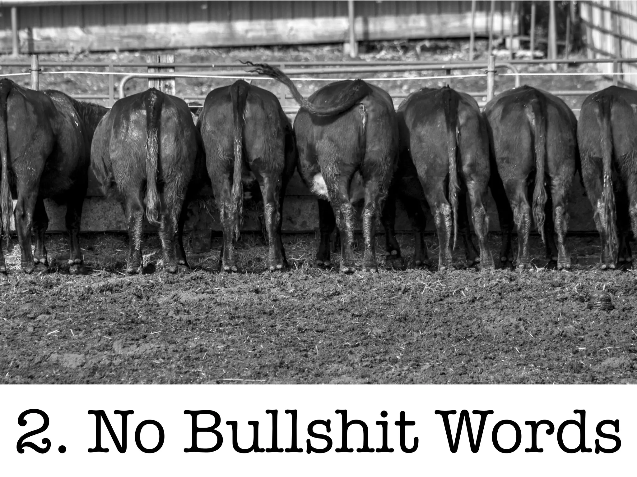 2. No Bullshit Words
 