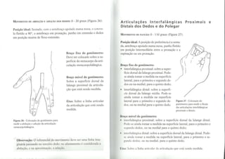 Goniometria Manual