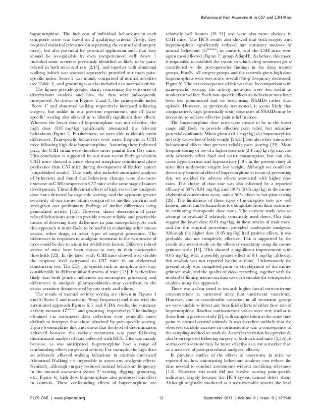 living with strangers essays