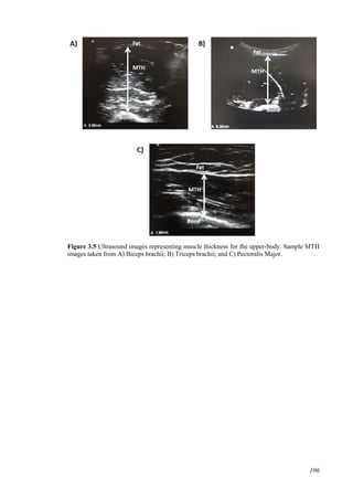 106
Figure 3.5 Ultrasound images representing muscle thickness for the upper-body. Sample MTH
images taken from A) Biceps brachii; B) Triceps brachii; and C) Pectoralis Major.
 