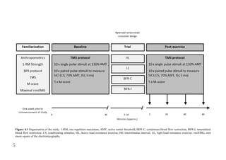 122
Figure 4.1 Organisation of the study. 1-RM, one repetition maximum; AMT, active motor threshold; BFR-C, continuous blood flow restriction; BFR-I, intermittent
blood flow restriction; CS, conditioning stimulus; HL, heavy-load resistance exercise; ISI, interstimulus interval; LL, light-load resistance exercise; rmsEMG, root
mean square of the electromyography.
122
 
