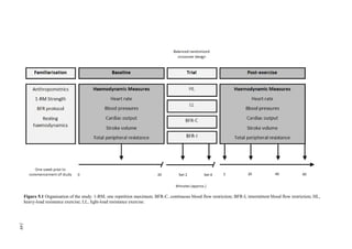 149
Figure 5.1 Organisation of the study. 1-RM, one repetition maximum; BFR-C, continuous blood flow restriction; BFR-I, intermittent blood flow restriction; HL,
heavy-load resistance exercise; LL, light-load resistance exercise.
149
 