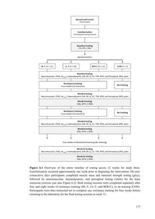 175
Figure 6.1 Overview of the entire timeline of testing across 12 weeks for study three.
Familiarisation occurred approximately one week prior to beginning the intervention. On non-
consecutive days participants completed muscle mass and maximal strength testing (grey),
followed by neuromuscular, haemodynamic, and perceptual testing (white) for the knee
extension exercise (see also Figure 6.2). Both testing sessions were completed separately after
four and eight weeks of resistance training (HL-T, LL-T, and BFR-C), or no training (CON).
Participants were then instructed not to complete any resistance training for four weeks before
returning to the laboratory for the final testing sessions at week 12.
 