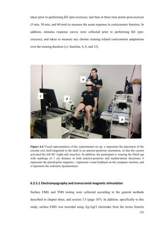 183
taken prior to performing KE (pre-exercise), and then at three time points post-exercise
(5 min, 30 min, and 60 min) to measure the acute response in corticomotor function. In
addition, stimulus response curves were collected prior to performing KE (pre-
exercise), and taken to measure any chronic training related corticomotor adaptations
over the training duration (i.e. baseline, 4, 8, and 12).
Figure 6.4 Visual representation of the experimental set up. a represents the placement of the
circular coil, held tangential to the skull in an anterior-posterior orientation, so that the current
activated the left M1 (right-side muscles). In addition, the participant is wearing the fitted cap
with markings of 1 cm distance in both anterior-posterior and medial-lateral directions; b
represents the paired-pulse magstim; c represents visual feedback on the computer monitor; and
d represents the isokinetic dynamometer.
6.2.5.1 Electromyography and transcranial magnetic stimulation
Surface EMG and TMS testing were collected according to the general methods
described in chapter three, and section 3.5 (page 107). In addition, specifically to this
study, surface EMG was recorded using Ag-AgCl electrodes from the rectus femoris
a
b
c
d
 