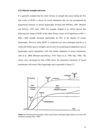 38
2.3.1 Muscle strength and mass
It is generally accepted that the initial increase in strength that occurs during the first
four weeks of HLRT is driven by neural adaptations that are not accompanied by
proportional increases in muscle hypertrophy (Folland and Williams, 2007, Moritani
and DeVries, 1979, Sale, 1988). For example, Kidgell et al. (2010) showed that
following four weeks of HLRT of the elbow flexors (4 sets of 6-8 repetitions at 80% 1-
RM), 1-RM strength increased significantly by 28% in the absence of muscle
hypertrophy. However, when HLRT is conducted over more prolonged periods (≥ 6
weeks) the further gain in strength is driven more by morphological adaptations such as
hypertrophy and/or hyperplasia, with little further adaptation in neural mechanisms
(Abe et al., 2000, Moritani and DeVries, 1979, Narici et al., 1996, Sale, 1988). The
classic curve developed by Sale (1988) shows the theoretical interaction of neural
mechanisms with muscle fibre hypertrophy and is presented in Figure 2.1.
Figure 2.1 The theoretical interplay of the neural factors and hypertrophy factors over time with
resistance training (Sale, 1988).
 